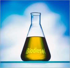 biodiesel