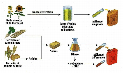 biocarburants 1e génération