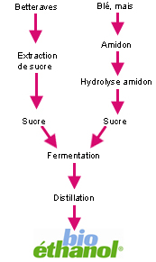 bioethanol