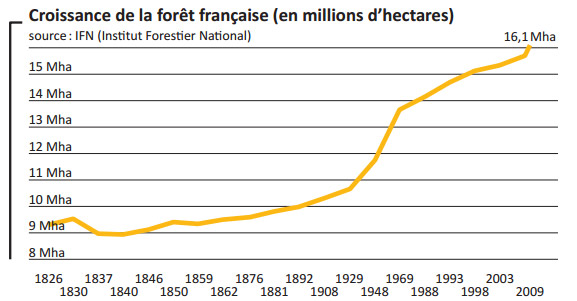 croissance forets