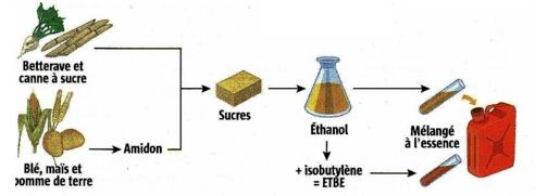 etbe